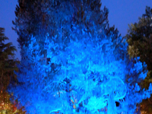 Nacht der Sinne 21.7.2018 Botanischer Garten Fotograf Murat Daniel – Foto 15