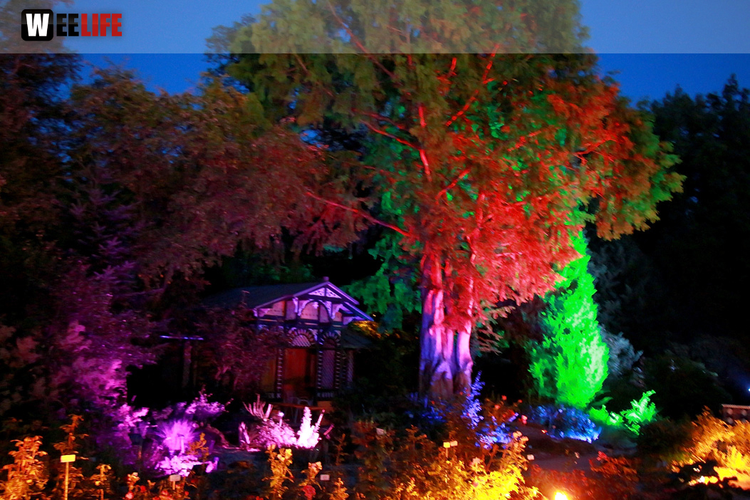 Nacht der Sinne 21.7.2018 Botanischer Garten Fotograf Murat Daniel