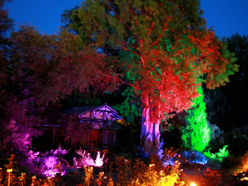 Nacht der Sinne 21.7.2018 Botanischer Garten Fotograf Murat Daniel – Foto 16