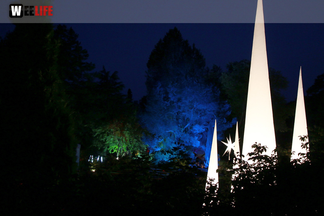 Nacht der Sinne 21.7.2018 Botanischer Garten Fotograf Murat Daniel