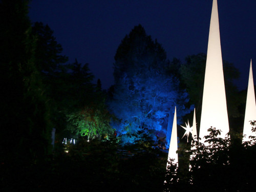 Nacht der Sinne 21.7.2018 Botanischer Garten Fotograf Murat Daniel – Foto 17