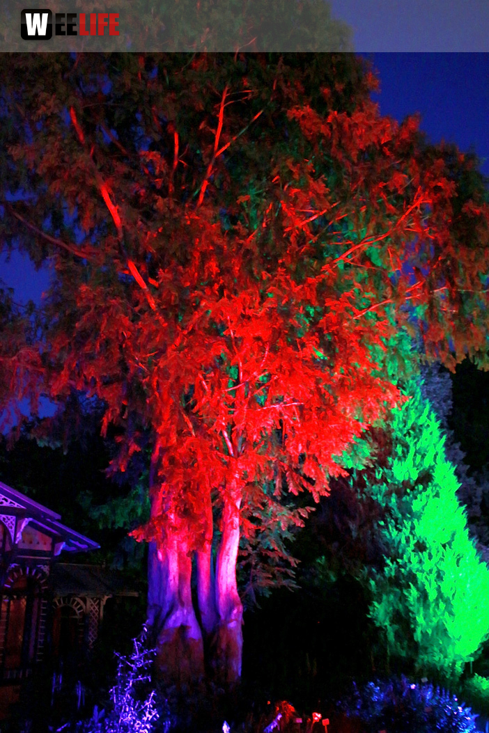 Nacht der Sinne 21.7.2018 Botanischer Garten Fotograf Murat Daniel