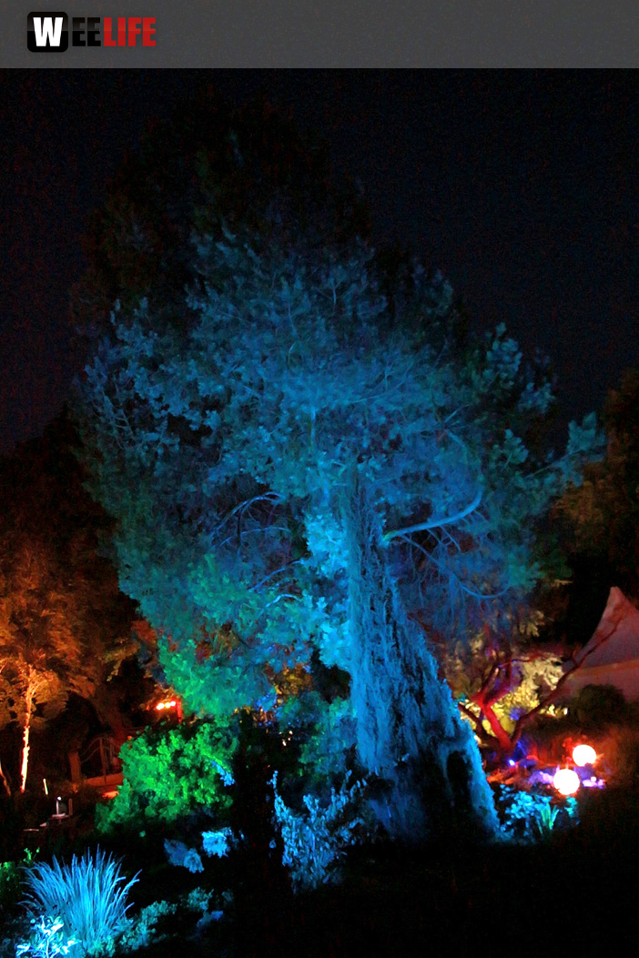 Nacht der Sinne 21.7.2018 Botanischer Garten Fotograf Murat Daniel
