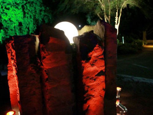Nacht der Sinne 21.7.2018 Botanischer Garten Fotograf Murat Daniel – Foto 25