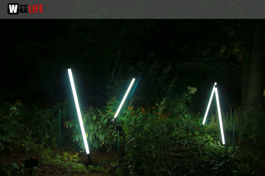 Nacht der Sinne 21.7.2018 Botanischer Garten Fotograf Murat Daniel