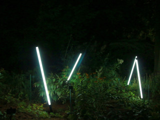 Foto 211907 im Album