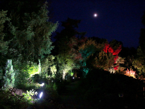 Nacht der Sinne 21.7.2018 Botanischer Garten Fotograf Murat Daniel – Foto 31