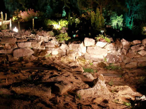 Nacht der Sinne 21.7.2018 Botanischer Garten Fotograf Murat Daniel – Foto 33