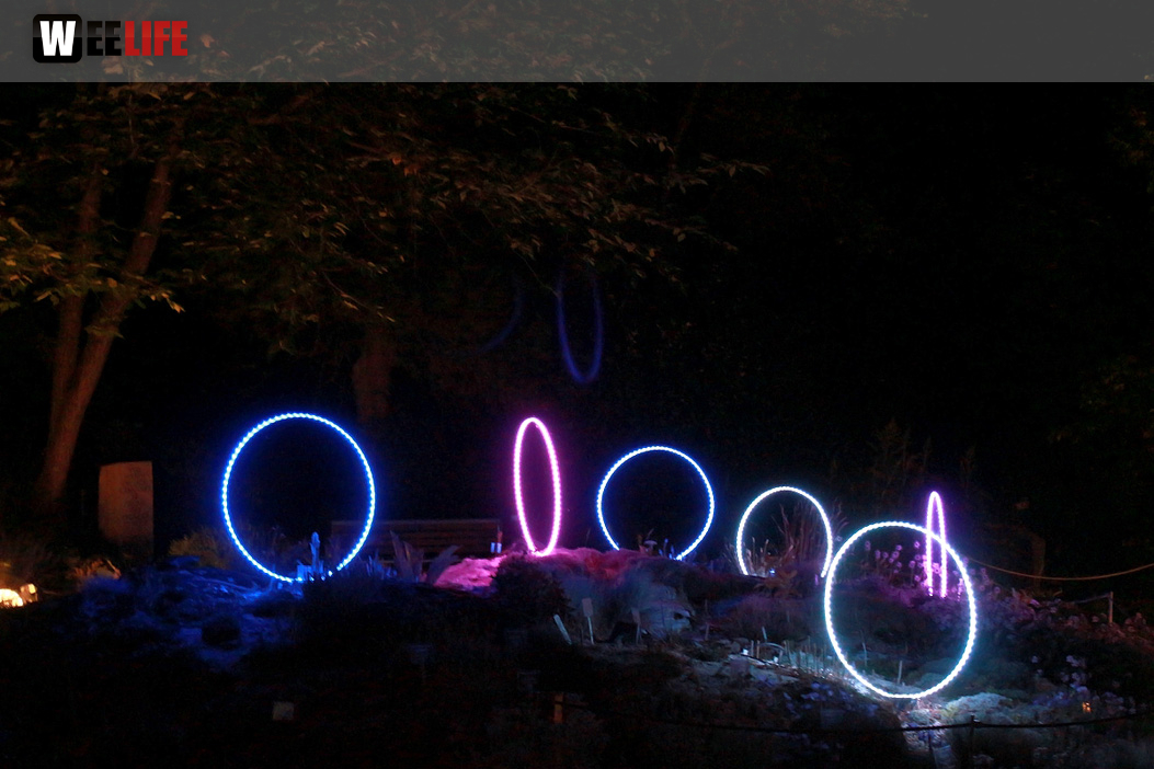 Nacht der Sinne 21.7.2018 Botanischer Garten Fotograf Murat Daniel
