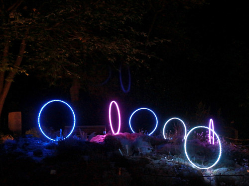 Nacht der Sinne 21.7.2018 Botanischer Garten Fotograf Murat Daniel – Foto 35
