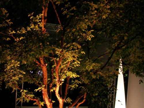 Nacht der Sinne 21.7.2018 Botanischer Garten Fotograf Murat Daniel – Foto 40