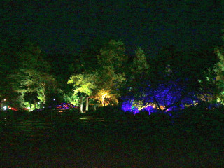 Foto 211922 im Album