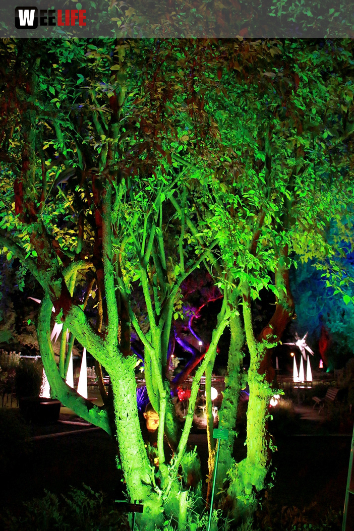 Nacht der Sinne 21.7.2018 Botanischer Garten Fotograf Murat Daniel