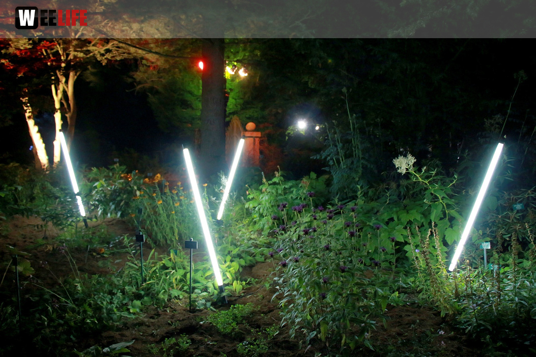 Nacht der Sinne 21.7.2018 Botanischer Garten Fotograf Murat Daniel