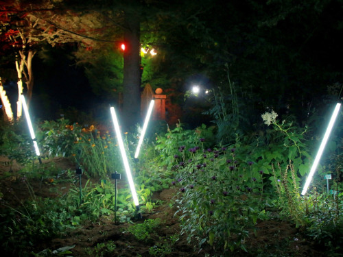 Nacht der Sinne 21.7.2018 Botanischer Garten Fotograf Murat Daniel – Foto 44