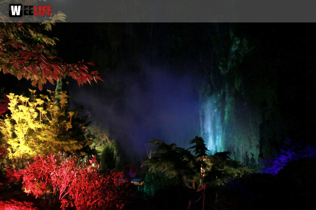 Nacht der Sinne 21.7.2018 Botanischer Garten Fotograf Murat Daniel