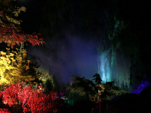 Nacht der Sinne 21.7.2018 Botanischer Garten Fotograf Murat Daniel – Foto 45