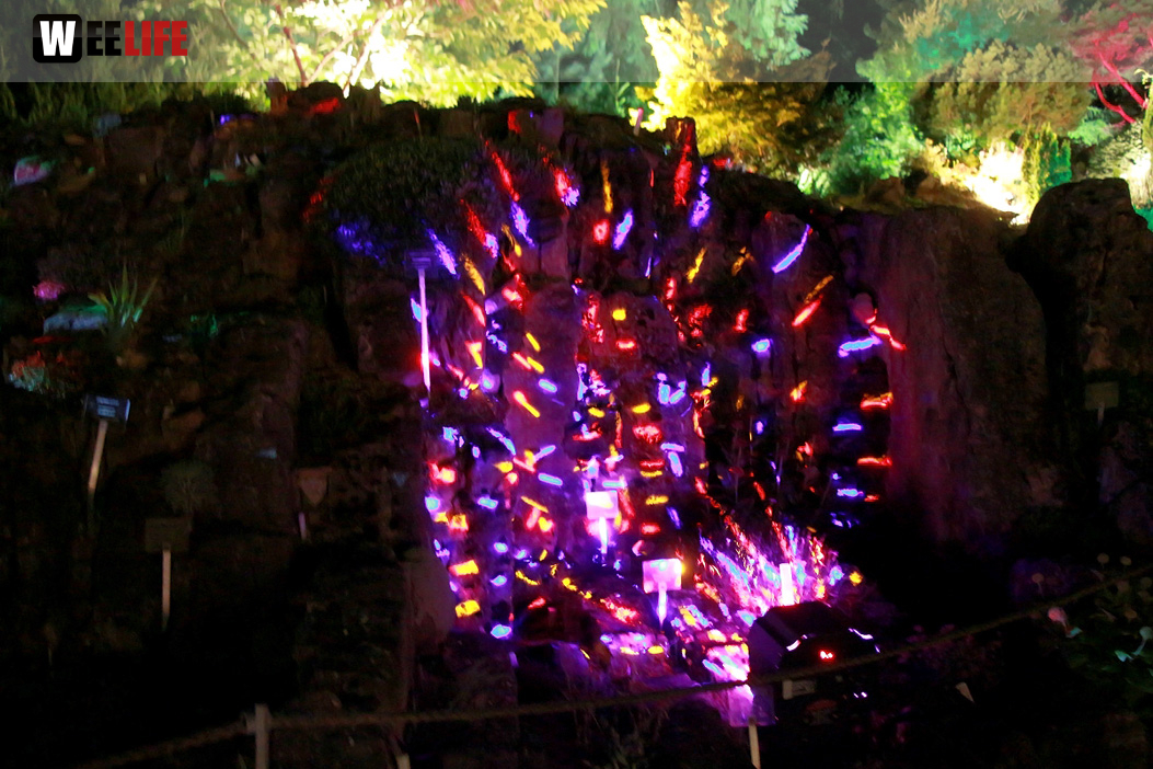 Nacht der Sinne 21.7.2018 Botanischer Garten Fotograf Murat Daniel