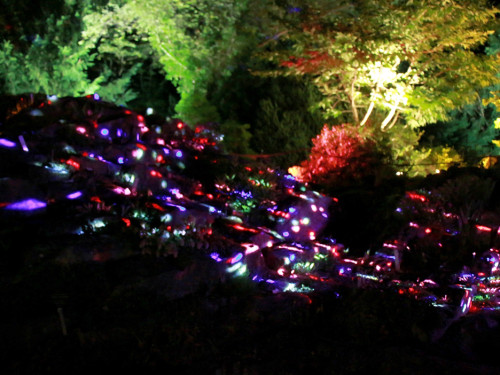 Nacht der Sinne 21.7.2018 Botanischer Garten Fotograf Murat Daniel – Foto 50