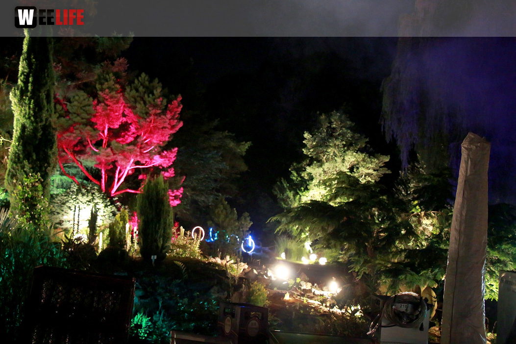 Nacht der Sinne 21.7.2018 Botanischer Garten Fotograf Murat Daniel