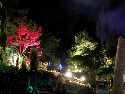 Nacht der Sinne 21.7.2018 Botanischer Garten Fotograf Murat Daniel – Foto 51