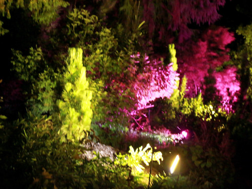 Nacht der Sinne 21.7.2018 Botanischer Garten Fotograf Murat Daniel – Foto 53