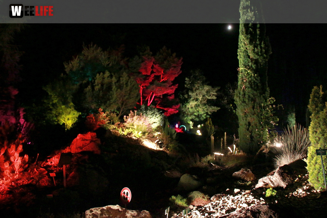 Nacht der Sinne 21.7.2018 Botanischer Garten Fotograf Murat Daniel