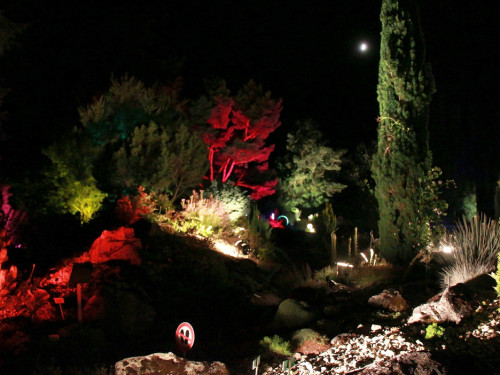 Nacht der Sinne 21.7.2018 Botanischer Garten Fotograf Murat Daniel – Foto 55
