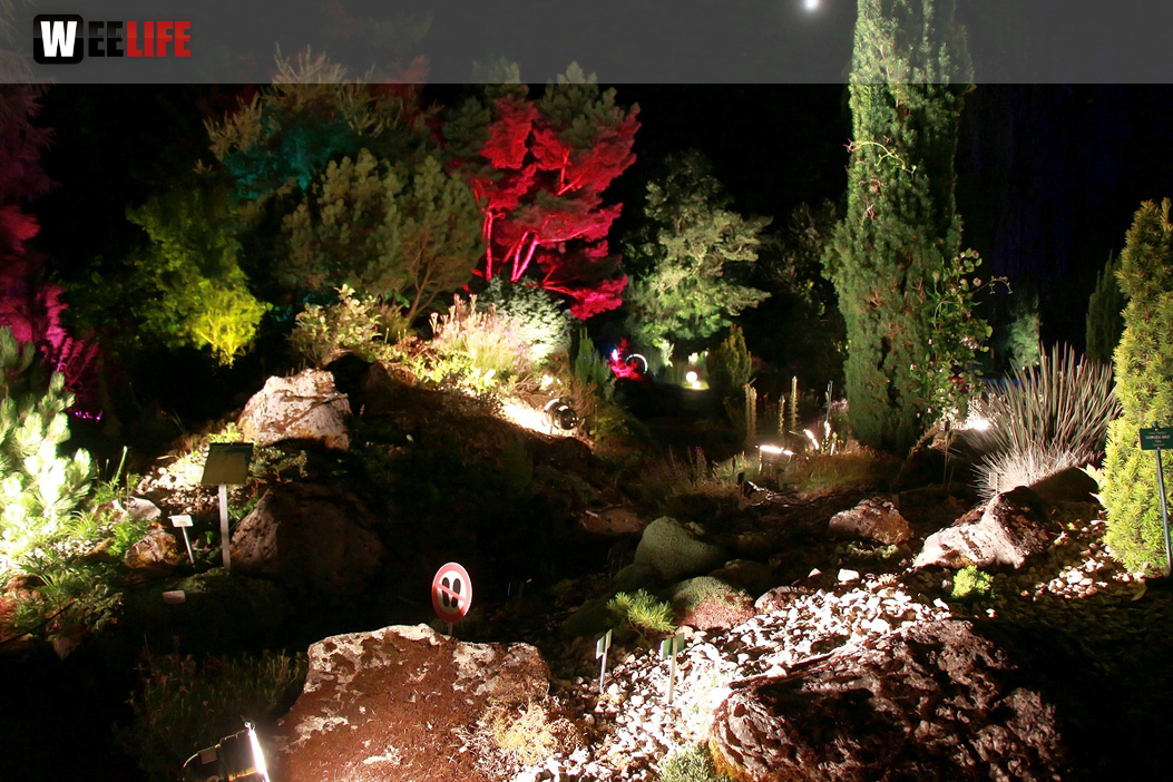 Nacht der Sinne 21.7.2018 Botanischer Garten Fotograf Murat Daniel