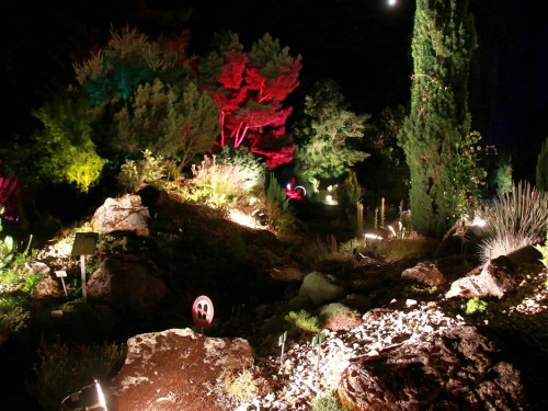 Nacht der Sinne 21.7.2018 Botanischer Garten Fotograf Murat Daniel – Foto 56
