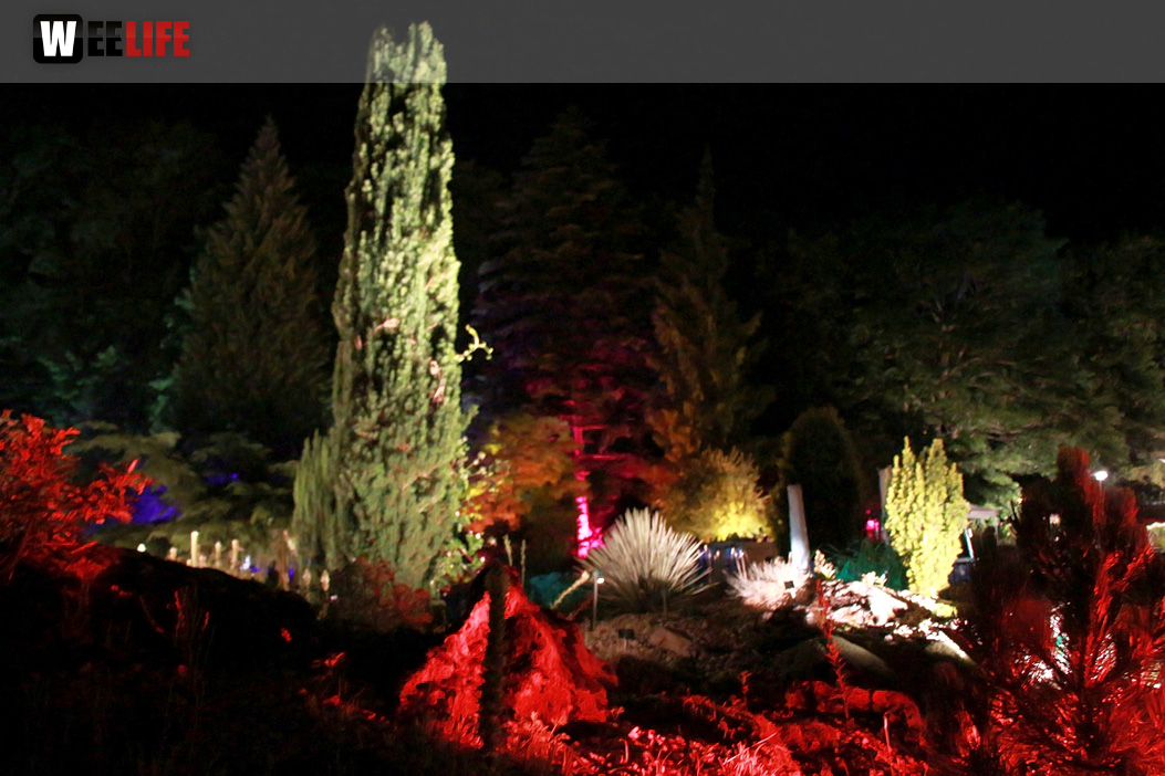 Nacht der Sinne 21.7.2018 Botanischer Garten Fotograf Murat Daniel