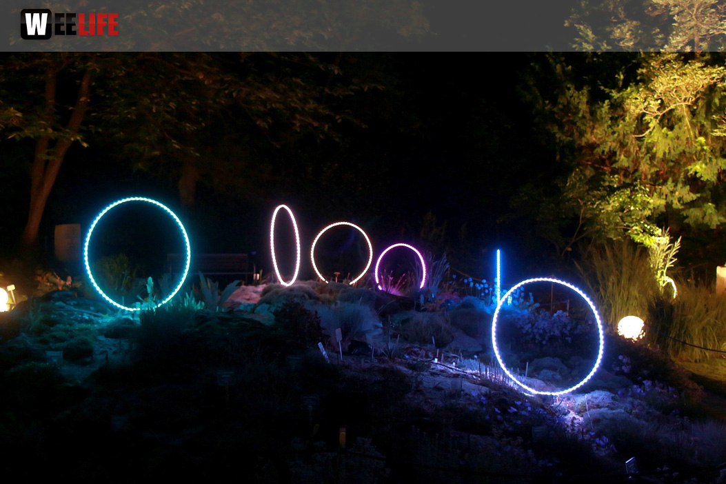 Nacht der Sinne 21.7.2018 Botanischer Garten Fotograf Murat Daniel