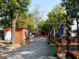 Foto 212266 im Album