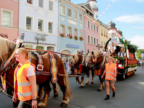 Volksfestumzug  Hofer Volksfest 2018 Teil1 – Foto 27