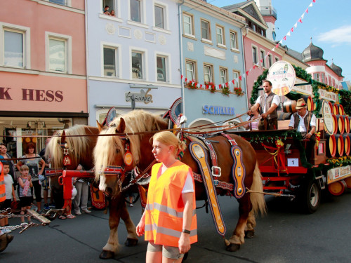 Volksfestumzug  Hofer Volksfest 2018 Teil1 – Foto 28