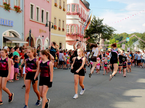 Volksfestumzug  Hofer Volksfest 2018 Teil1 – Foto 40