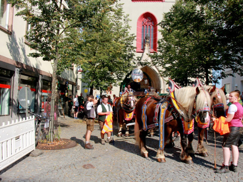 Aufstellung Volksfestumzug  Hofer Volksfest 2018 27.7.2018 – Foto 44