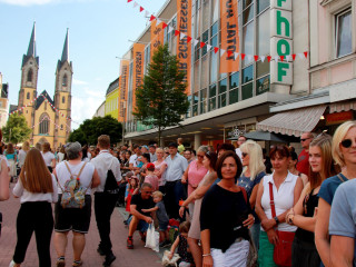 Vorschau des vorherigen Fotos