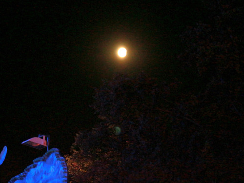 Totale Mondfinsterniss 27.7.2018 – Foto 5