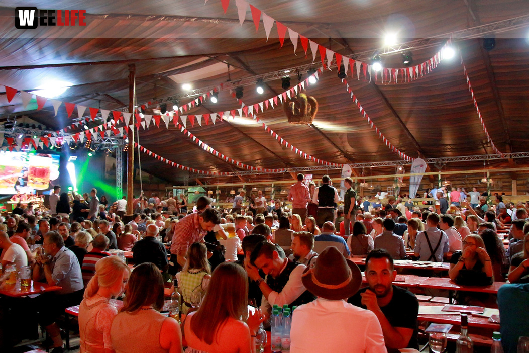 Die Partyvögel Samstag Hofer Volksfest 2018