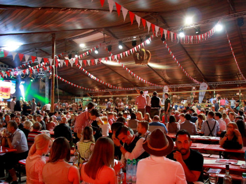 Die Partyvögel Samstag Hofer Volksfest 2018 – Foto 2