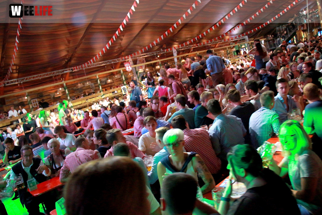 Die Partyvögel Samstag Hofer Volksfest 2018