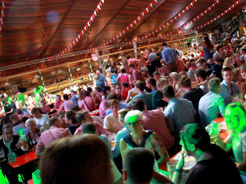Die Partyvögel Samstag Hofer Volksfest 2018 – Foto 4