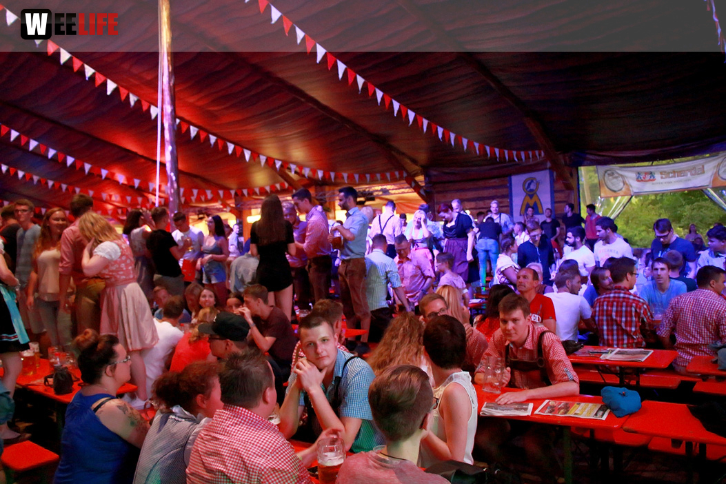 Die Partyvögel Samstag Hofer Volksfest 2018