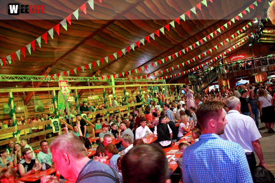 Die Partyvögel Samstag Hofer Volksfest 2018
