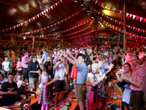 Die Partyvögel Samstag Hofer Volksfest 2018 – Foto 23