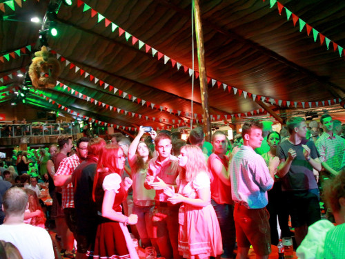 Die Partyvögel Samstag Hofer Volksfest 2018 – Foto 26