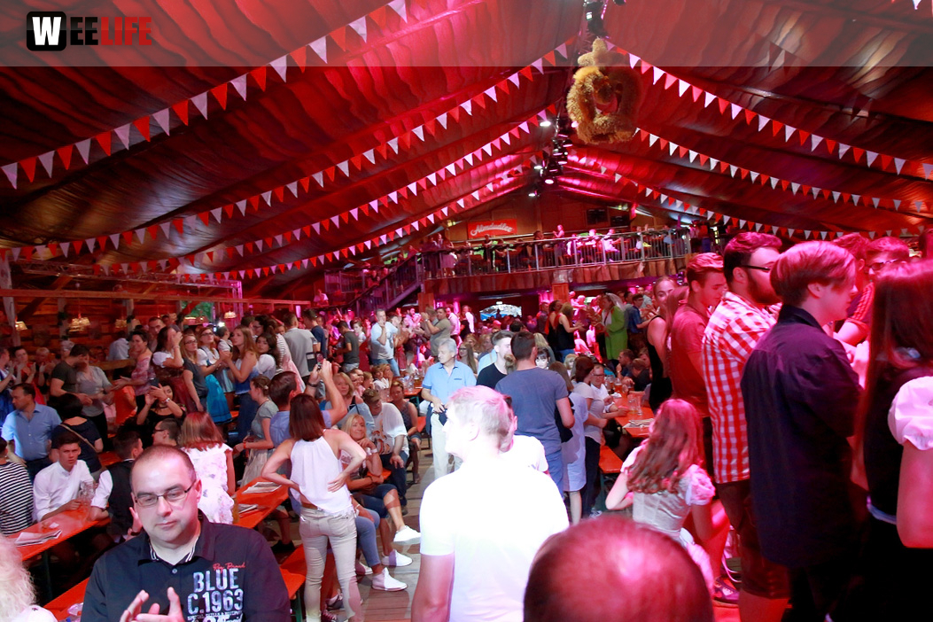 Die Partyvögel Samstag Hofer Volksfest 2018