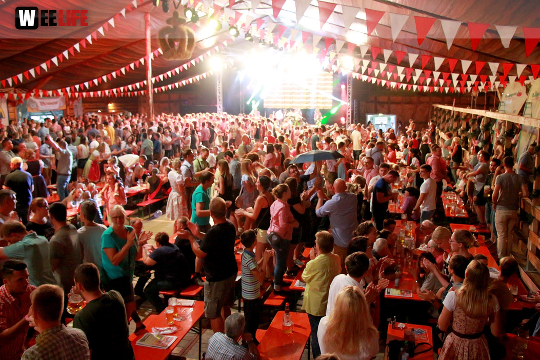 Die Partyvögel Samstag Hofer Volksfest 2018