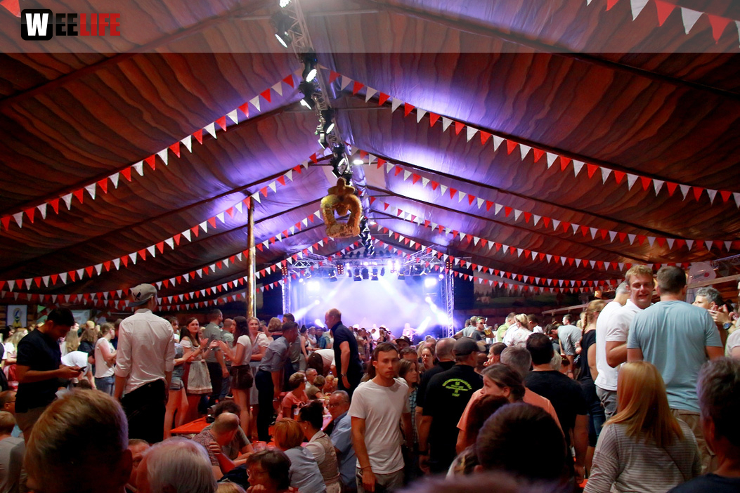 Die Partyvögel Samstag Hofer Volksfest 2018